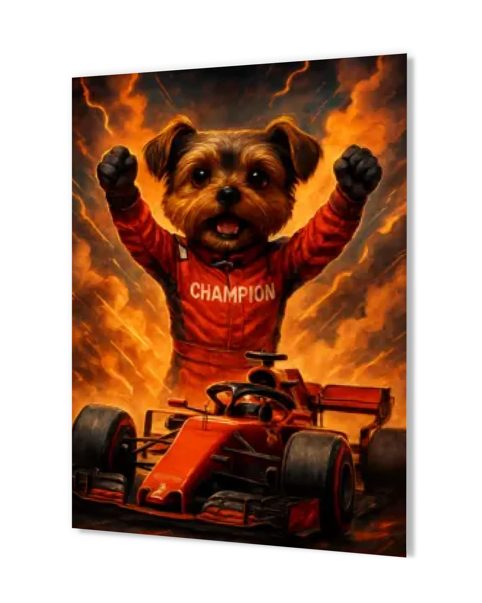 My Pet Drive and Car