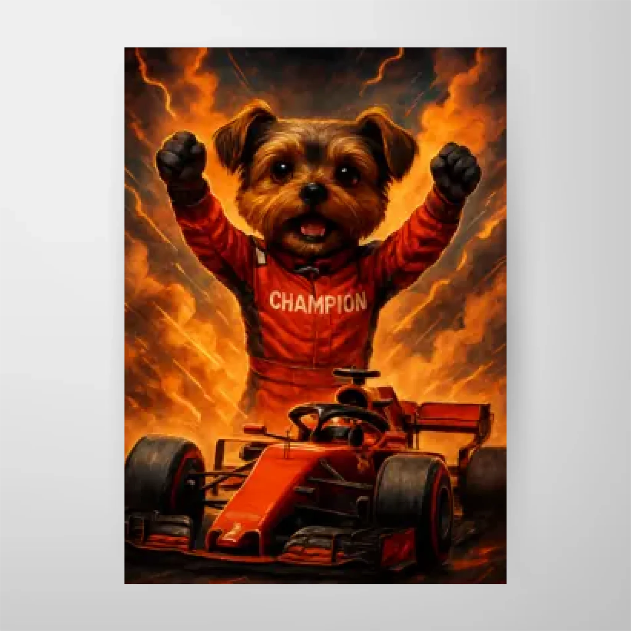 Poster-16″ x 20_ - No frame